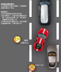 驾驶有道 掌握技巧，巧妙应对加塞；养护有方 机动车维修与维护全攻略